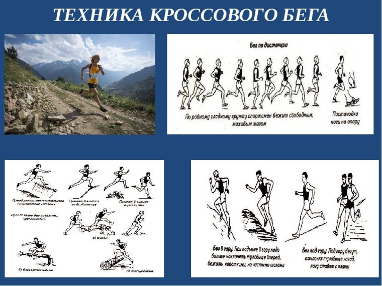 ВФСК ГТО 6. Порядок организации тестирования прикладных навыков.