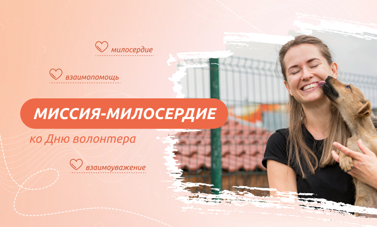 «Миссия-милосердие. Ко дню волонтёра».